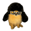 kori