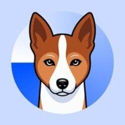 basenji