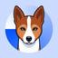 basenji