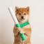 baton