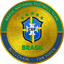 brazil-fan-token