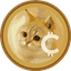 catcoin-6