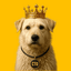 charles-2