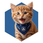 crocat