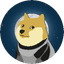 doge-1