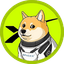 doge-1-3