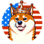 doge-for-president