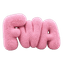 fwa