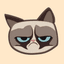 grumpy-cat-coin