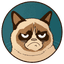 grumpy-cat-2c33af8d-87a8-4154-b004-0686166bdc45