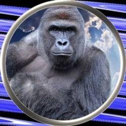 harambe