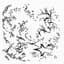 lethe