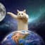 longcat-2
