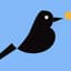 magpie