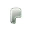 pons