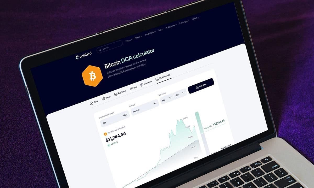 US$ 100/mês em Bitcoin desde 2015 teriam transformado US$ 13.700 em US$ 632.000, mostra análise da Coinbird
