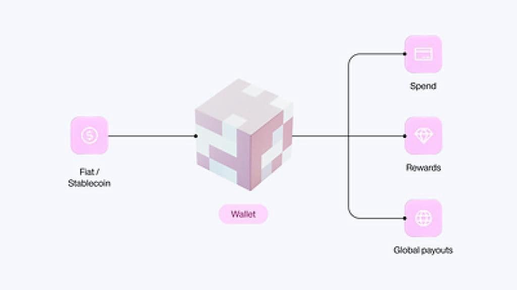 Rain introduces wallets, putting the account at the center of its stablecoin payments platform
