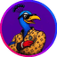pcock
