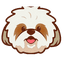 shih-tzu