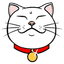 shiro-neko-2