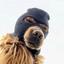 ski-mask-dog