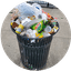 trash