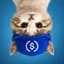 upsidedowncat-3