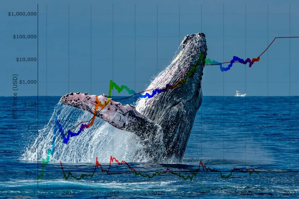 desktop-begrijpen-van-bitcoin-whale-activiteit-wat-heractivaties-van-slapende-portefeuilles-betekenen