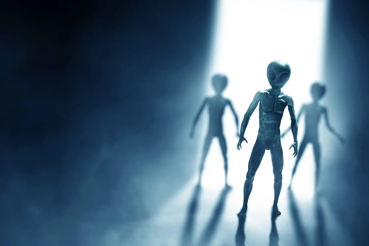 What Would Happen To Markets If Aliens Were Real? Bank Of England Veteran Weighs In