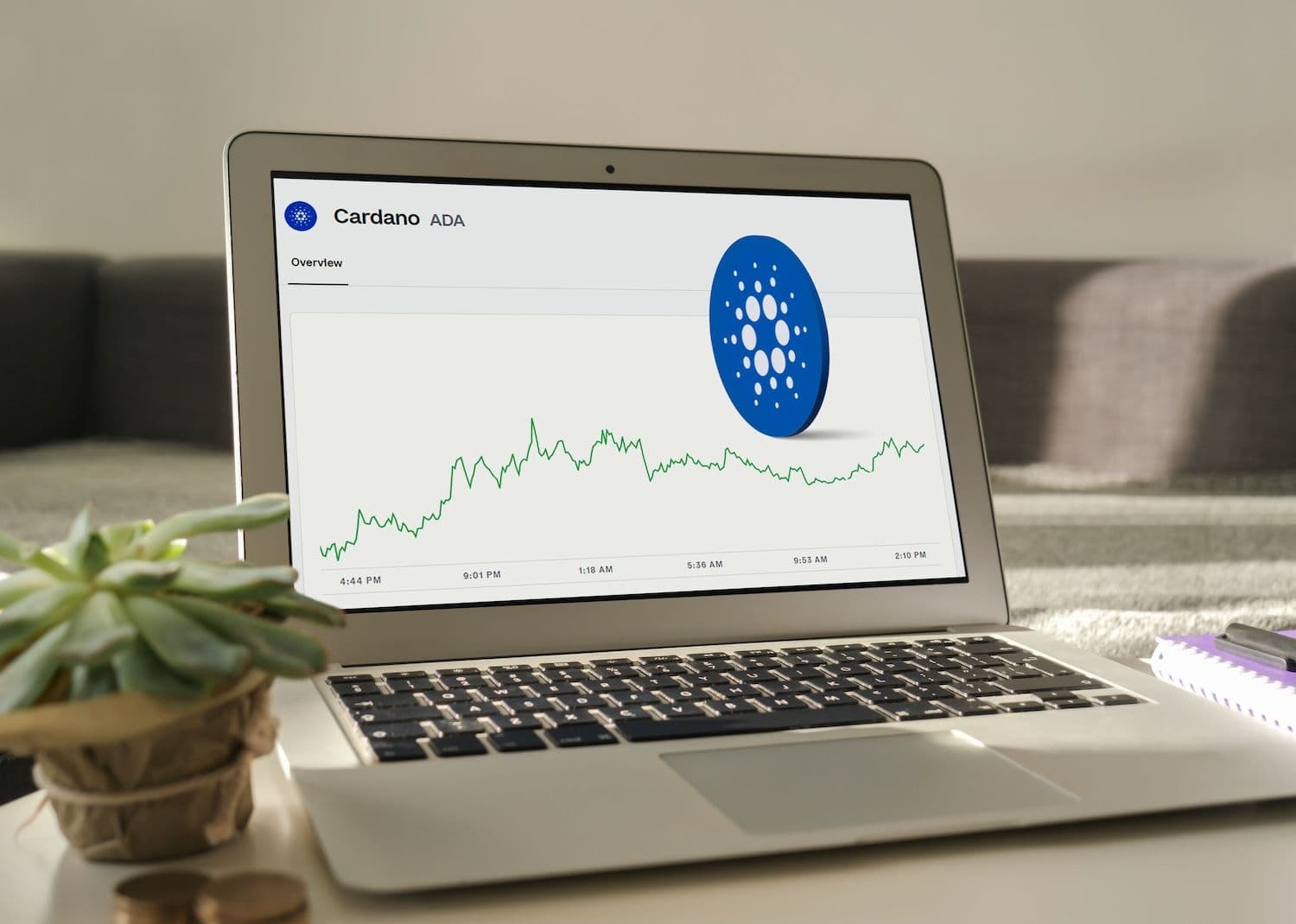 Whales Buy 100 Million ADA Tokens As Cardano Shows Recovery Signs