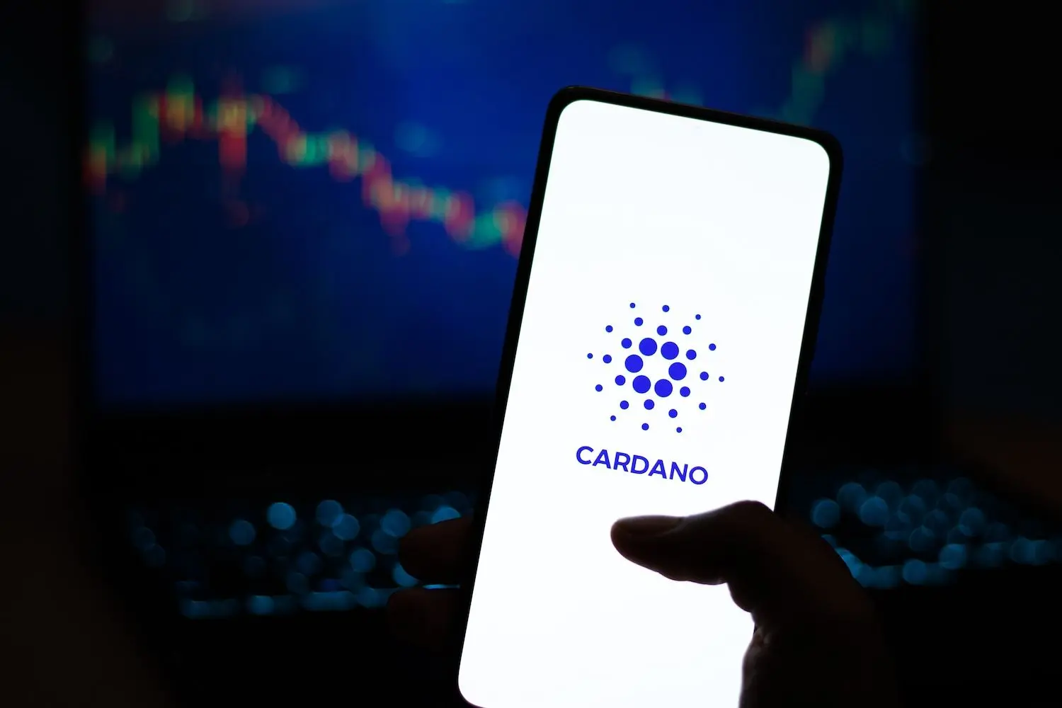 Baleias de Cardano acumulam $204 milhões em quatro dias, apesar de queda de preço de 30%