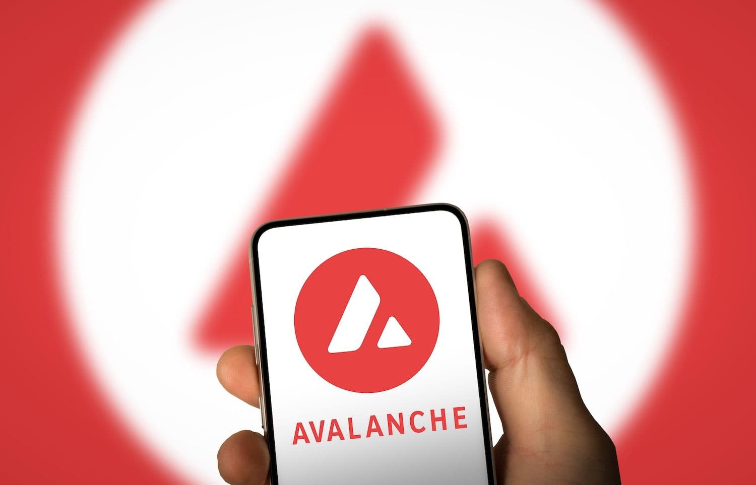 AVAX、エコシステムが3億ドルの投資を引き寄せる中、 月間取引量で2位にランクイン