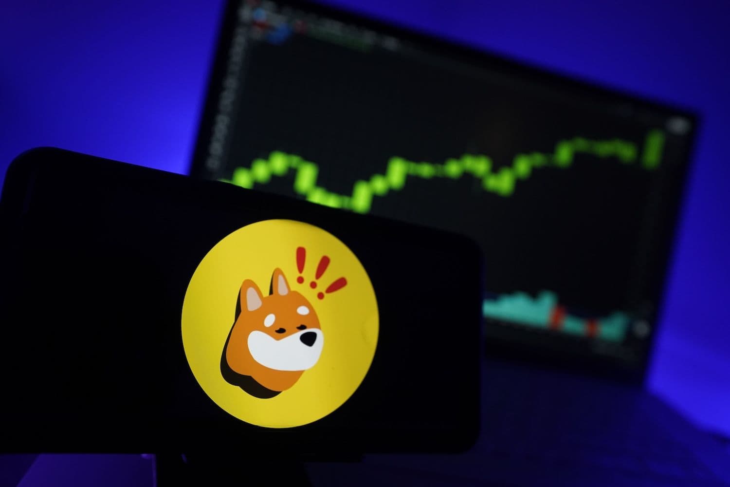 desktop-shiba-inu-burns-17-million-tokens-in-24-hours-as-support-levels-hold