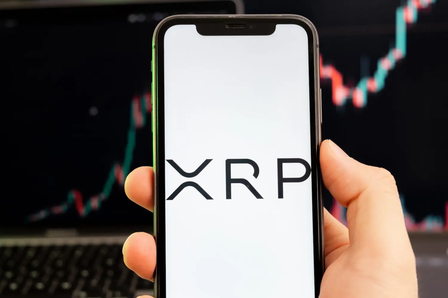 Ripple’s stablecoin gains a philanthropy angle as Matt Damon joins Swell (Image: Shutterstock)