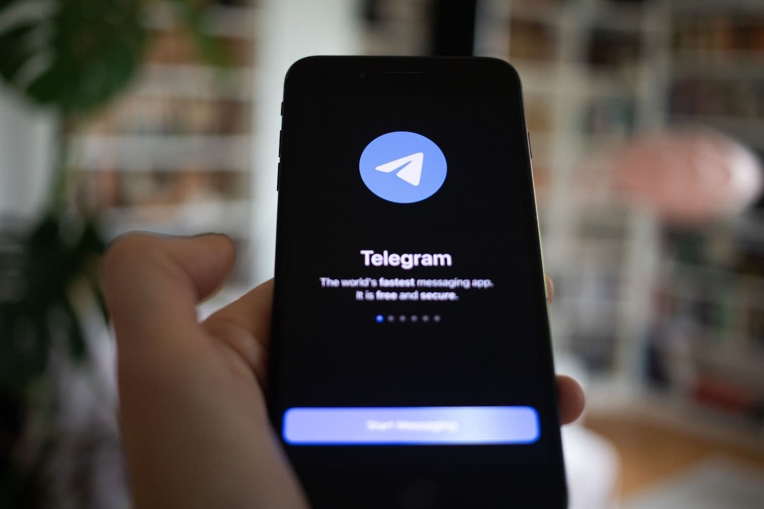 TON is a Layer 1 blockchain with a native wallet embedded directly inside Telegram (Image: Shutterstock)