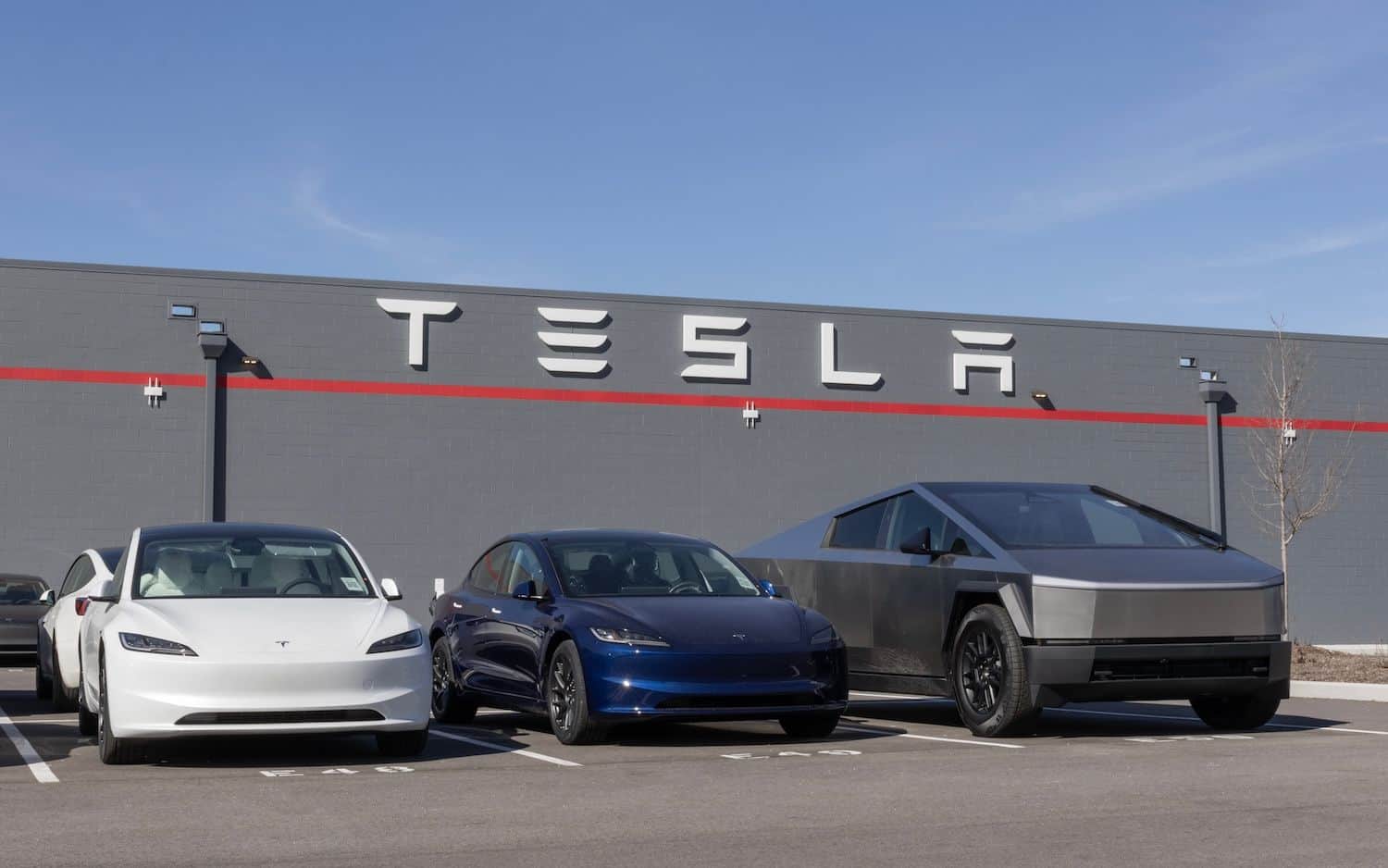 A major Tesla investor points to FSD growth and market-shae gains behind his latest buy call (Image: Shutterstock)