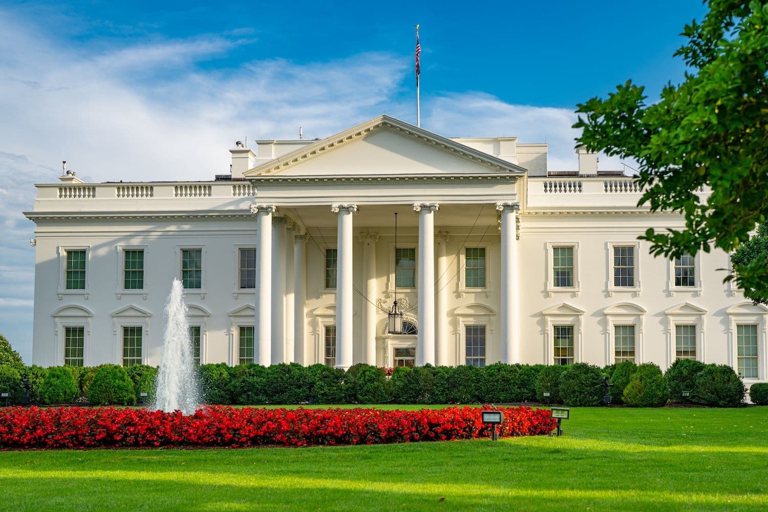 US government may take direct equity stakes in major artificial intelligence companies (Image: Shutterstock)